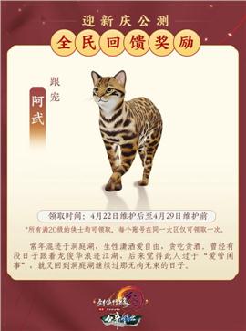 天龙八部世界烈火天龙八部私服